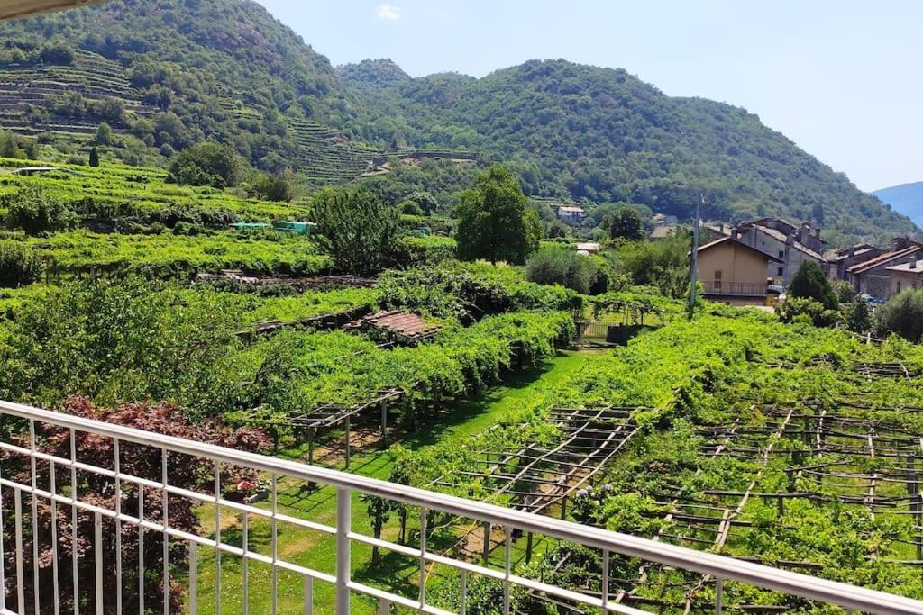 La Casa Dei Nonni 3,0 Διαμέρισμα Carema Εξωτερικό φωτογραφία