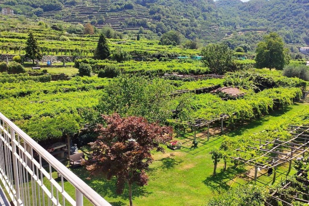 La Casa Dei Nonni 3,0 Διαμέρισμα Carema Εξωτερικό φωτογραφία