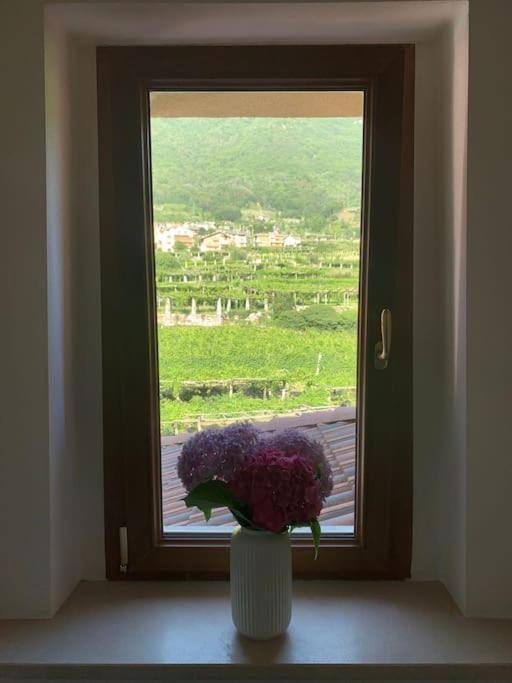 La Casa Dei Nonni 3,0 Διαμέρισμα Carema Εξωτερικό φωτογραφία